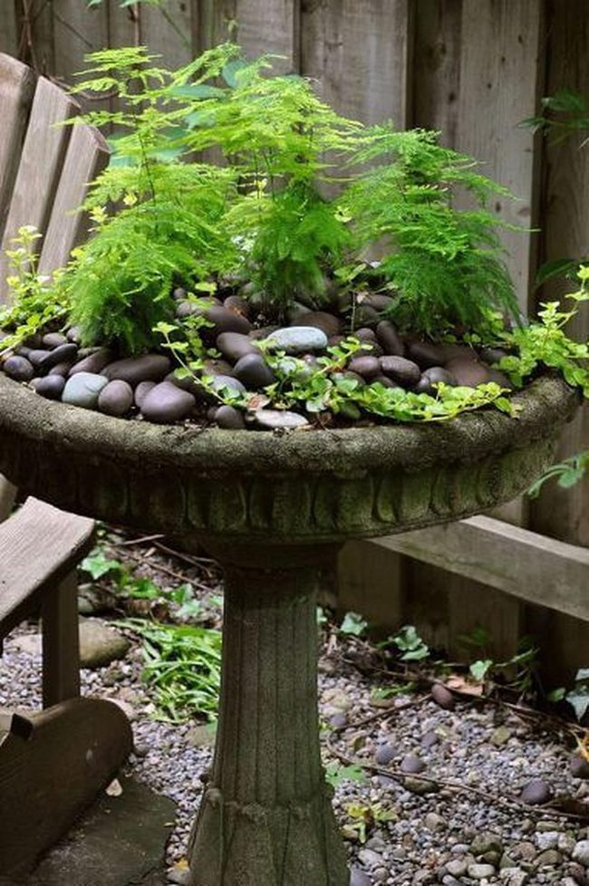 Flowering Birdbath Garden Sanctuary