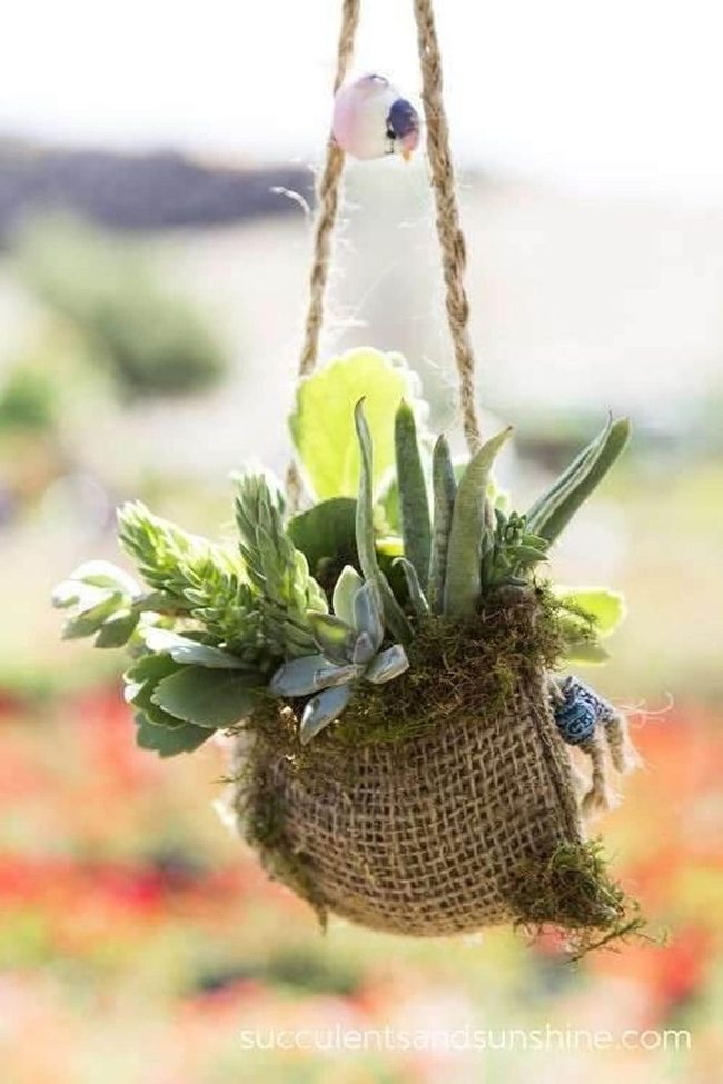 Burlap Rope Succulent Planter