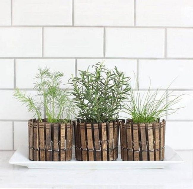 Wooden Clothespin Herb Gardens