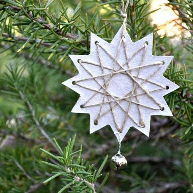 White Stars On Winter Pine