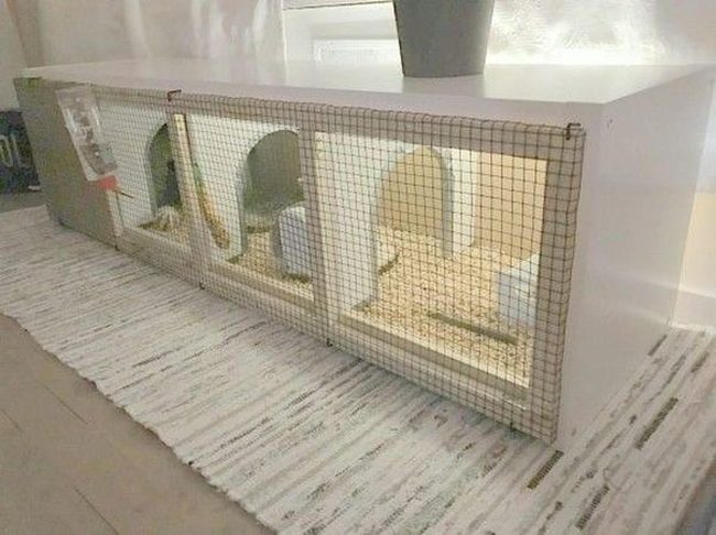 Kallax Shelving Unit Rabbit Home