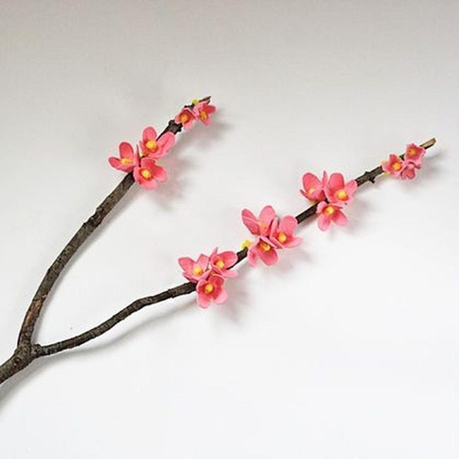 Pink Petals On Weathered Branches