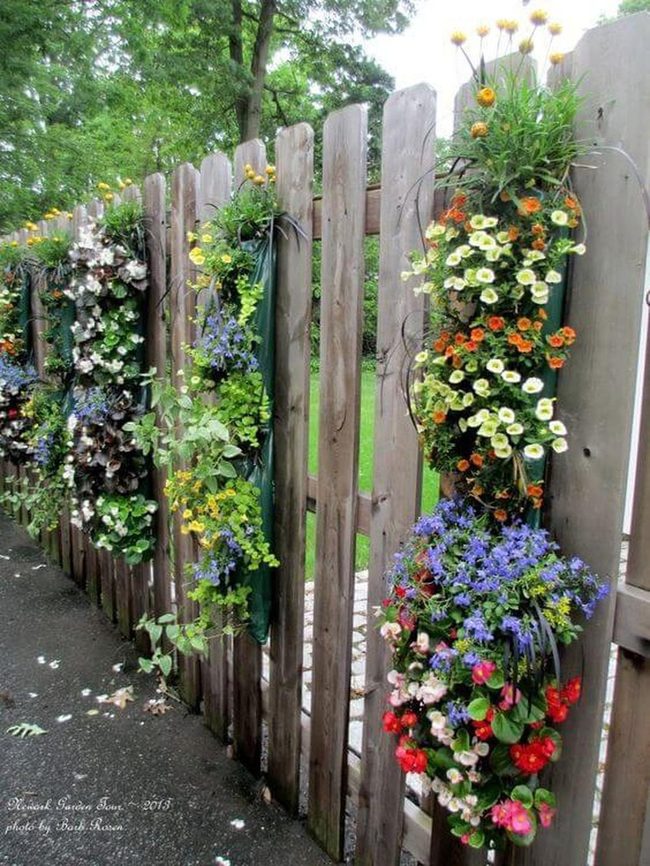 Blooming Fence Wall Garden