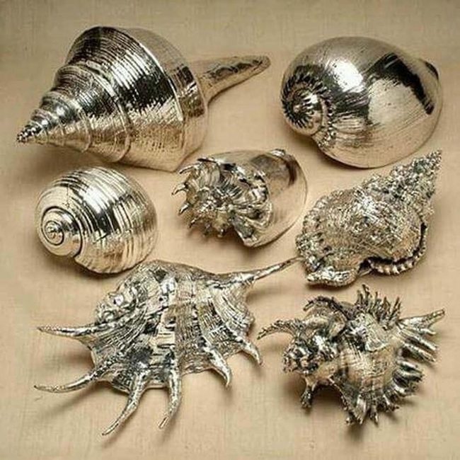 Silver Seashells, Coastal Sparkle