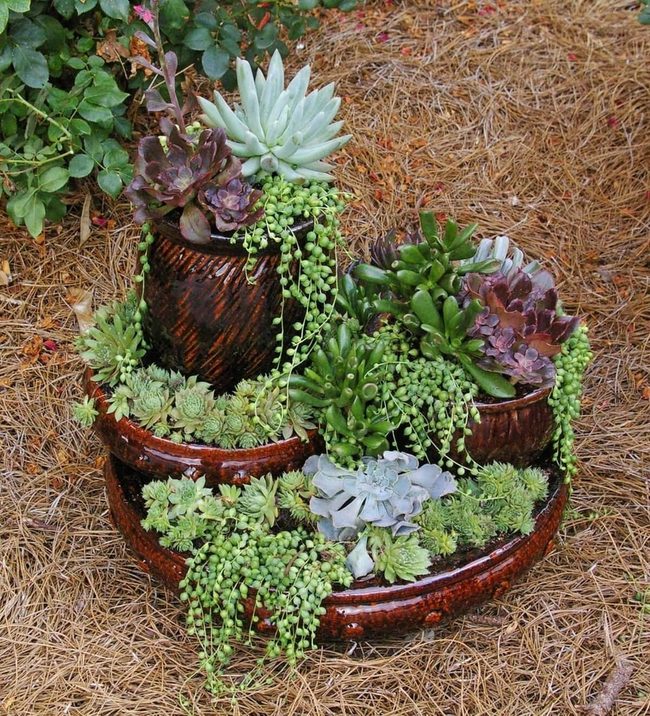 Stacked Terracotta Succulent Tower