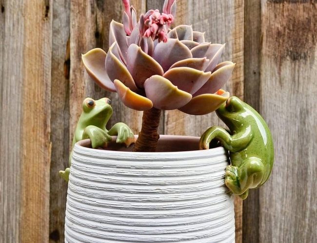 Green Ceramic Frog Planters