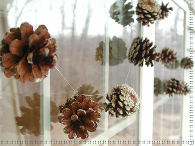 Frosted Pinecones, Dappled Light