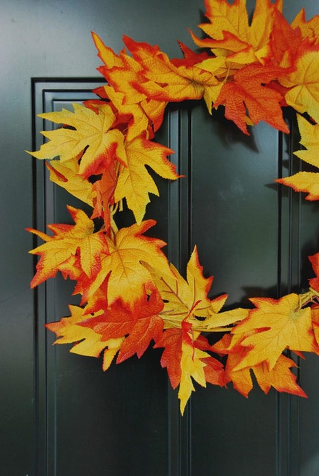 Autumn Leaves Against Dark Door