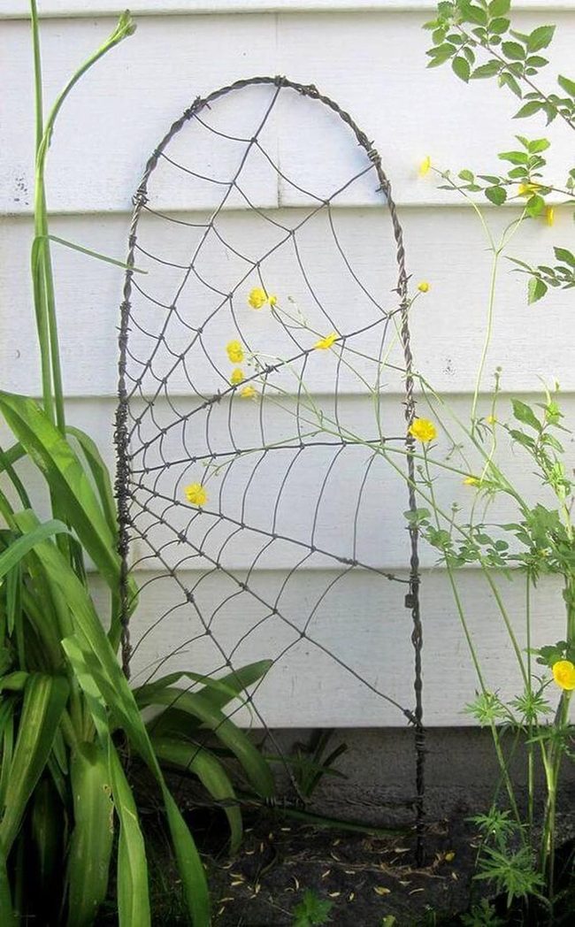 Yellow Blooms Through Metal Lattice