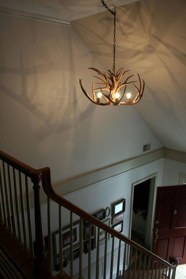 Red Door With Antler Chandeliers
