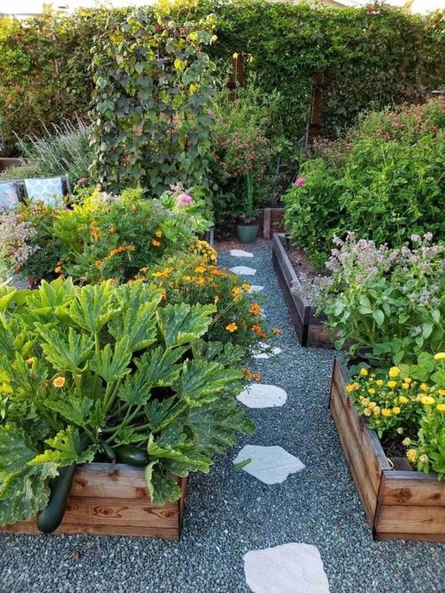 Raised Beds With Golden Blooms
