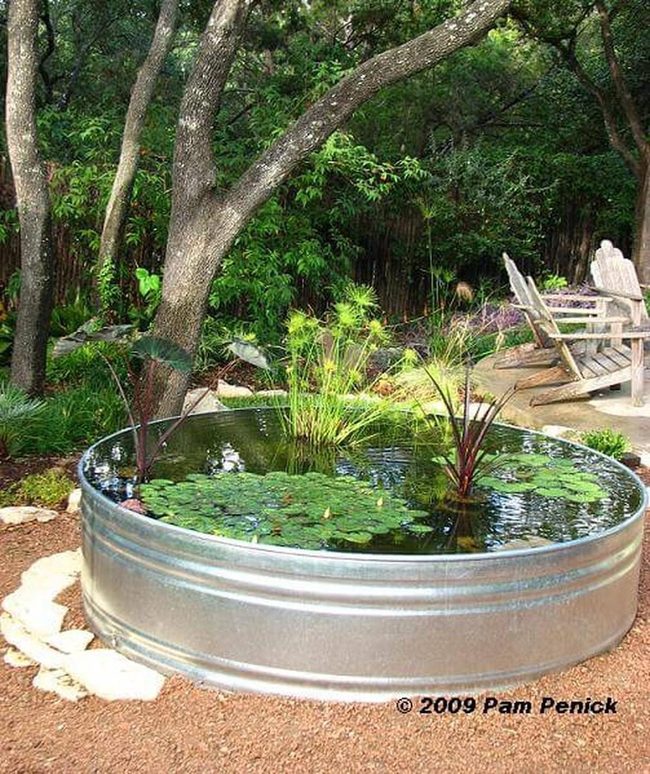 Stock Tank Backyard Pond