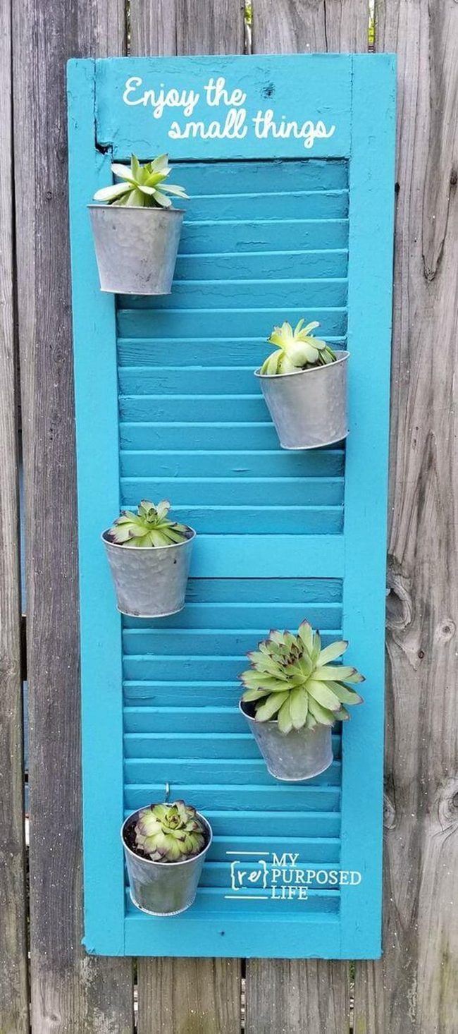 Turquoise Shutters With Succulents