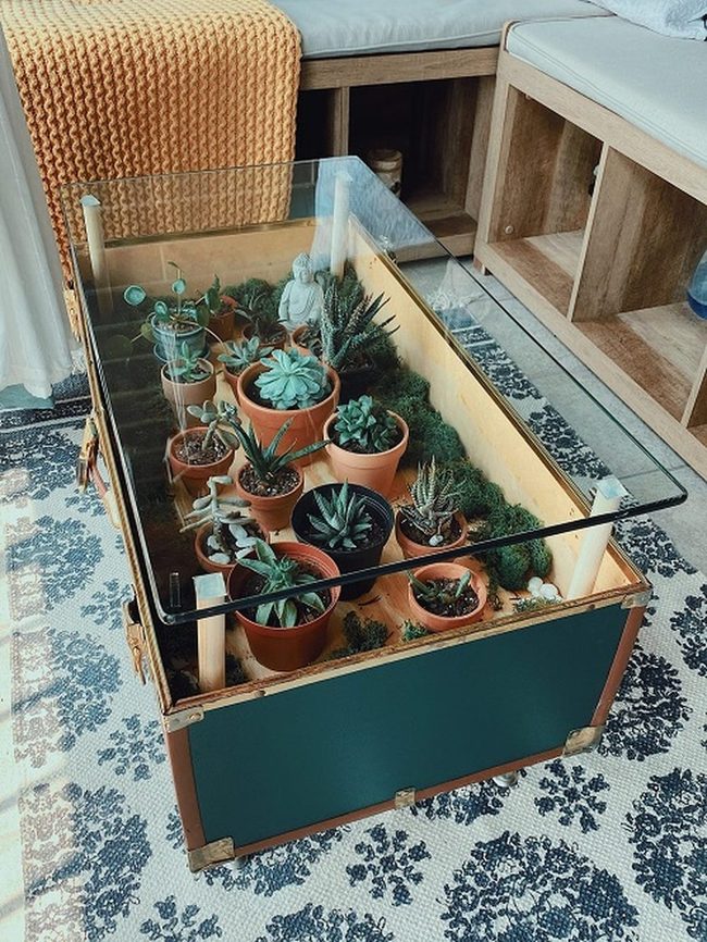 Green Suspended Glass Display