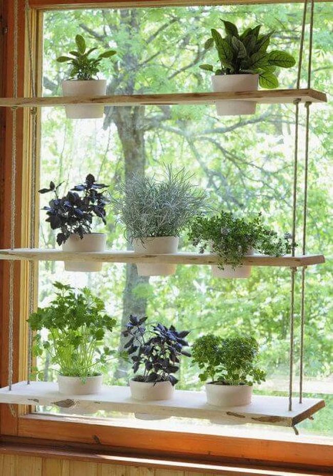 Vertical Herb Kitchen Garden