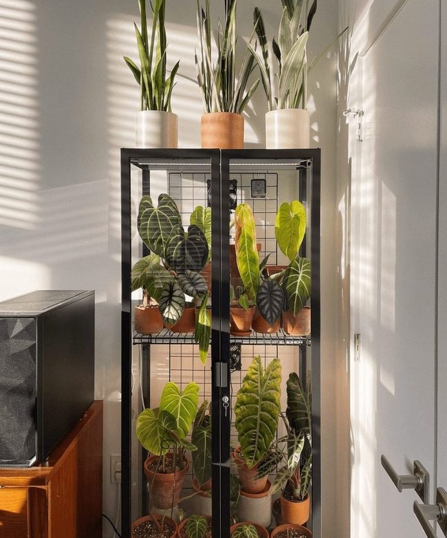 Wire Grid Cabinet Organization
