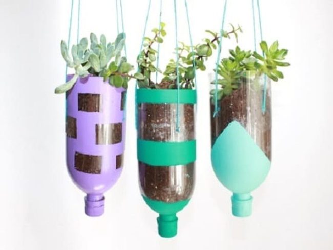 Upcycled Plastic Bottle Gardens
