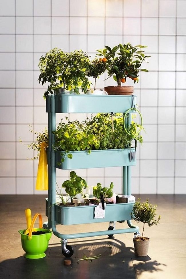 Mobile Plant Display Cart