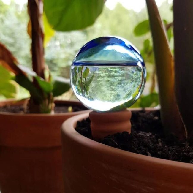 Glowing Glass Orbs Garden