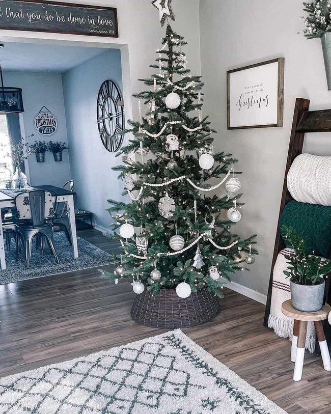 Green And White Winter Botanicals