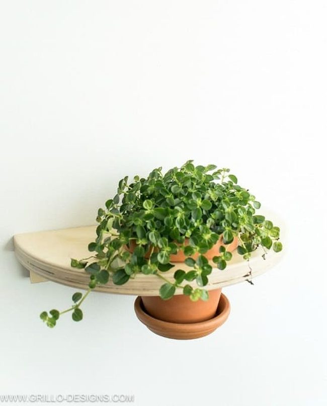 White Wood Plant Tower