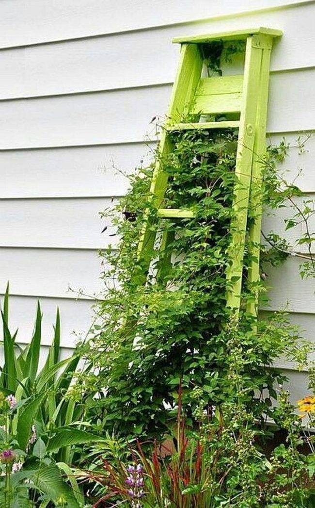 Weathered Wood Climbing Frame