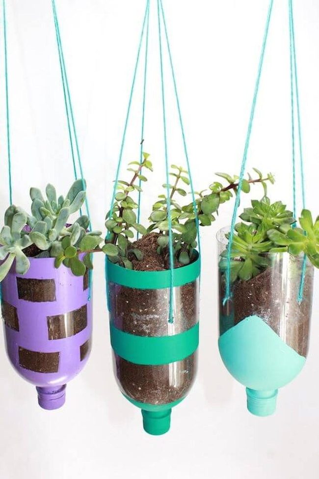 Tiered Succulents In Bright Plastic