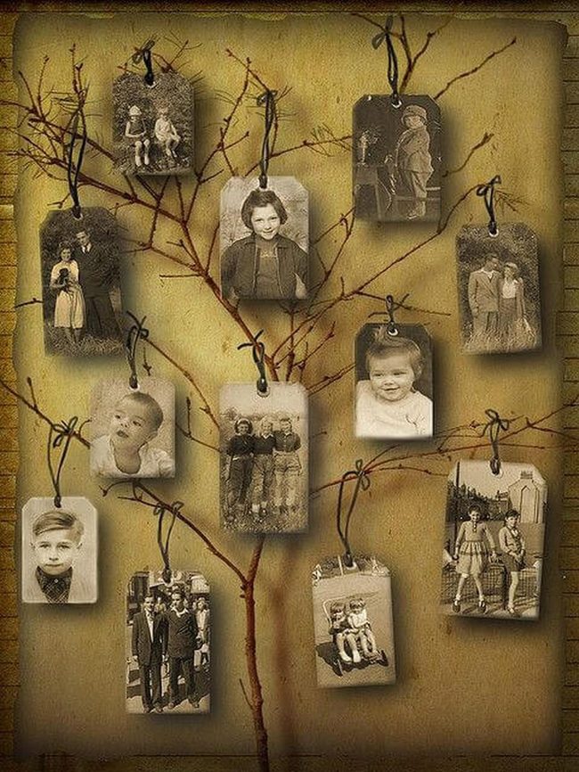 Generations Through Faded Frames