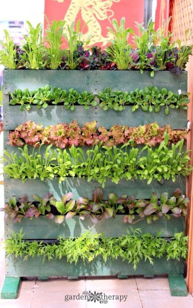 Weathered Wood Vertical Gardens