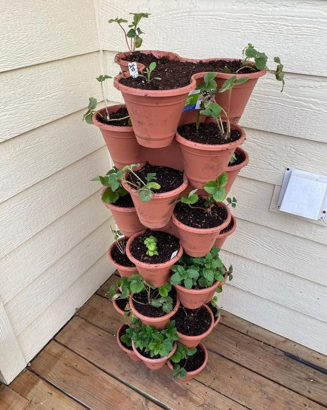 Terracotta Tower Of Fresh Herbs