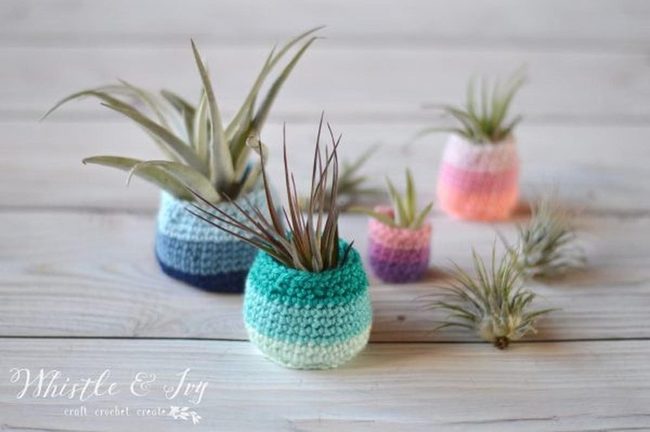 Pastel Knitted Air Plant Holders