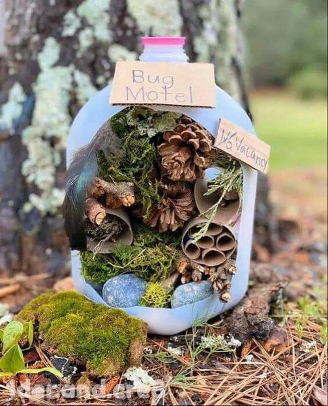 Pinecone Bug Hotel With Moss