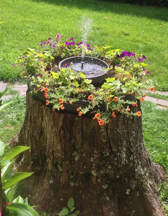 Hollowed Stump Fountain With Orange Petals