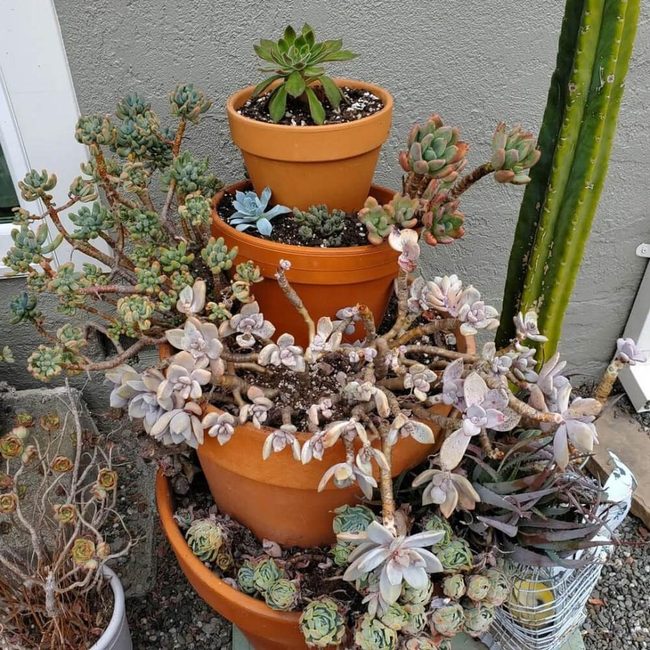 Stacked Terracotta Succulent Tower