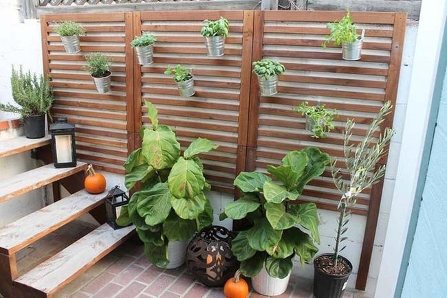 Green Wall Patio Escape