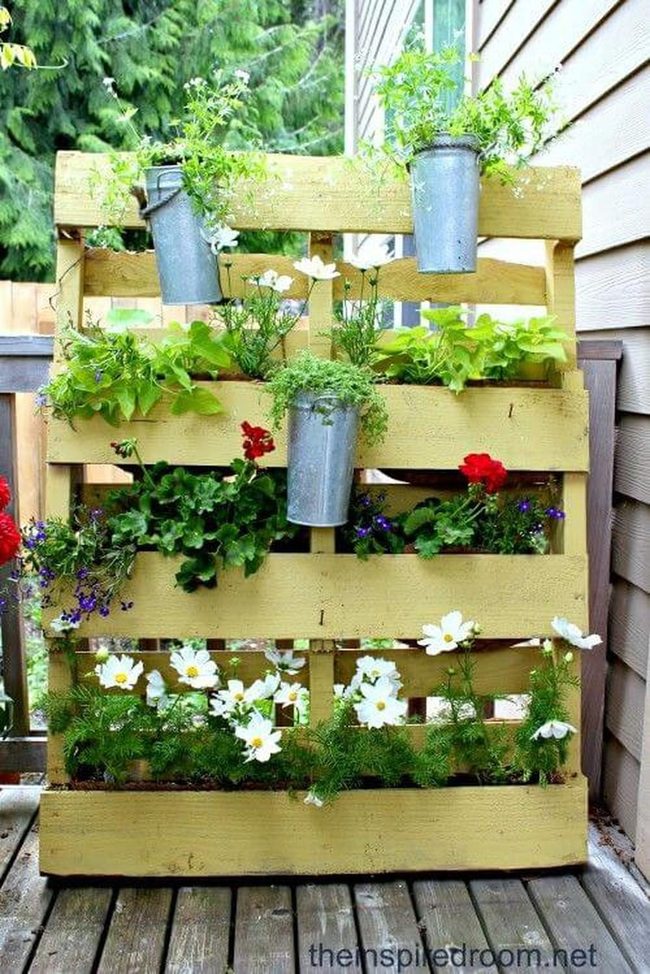 Reclaimed Wood Living Wall