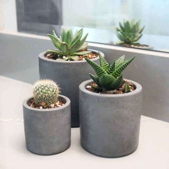 Concrete Modern Plant Vessels