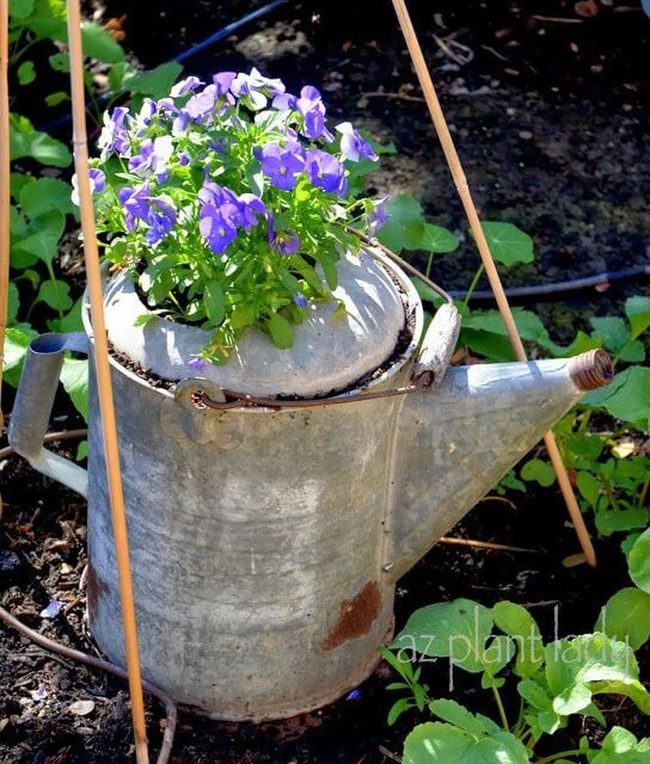 Vintage Watering Can Flower Planter