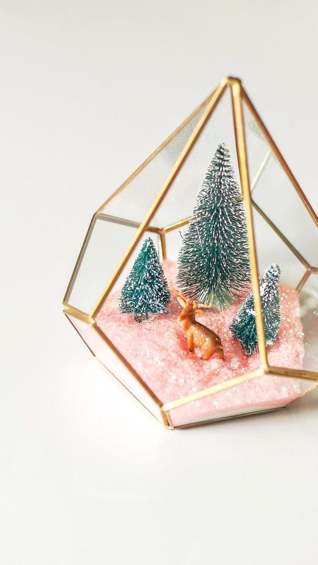 Gold-Rimmed Winter Terrarium