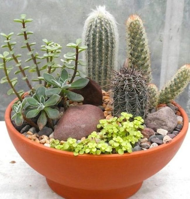 Miniature Desert In Ceramic