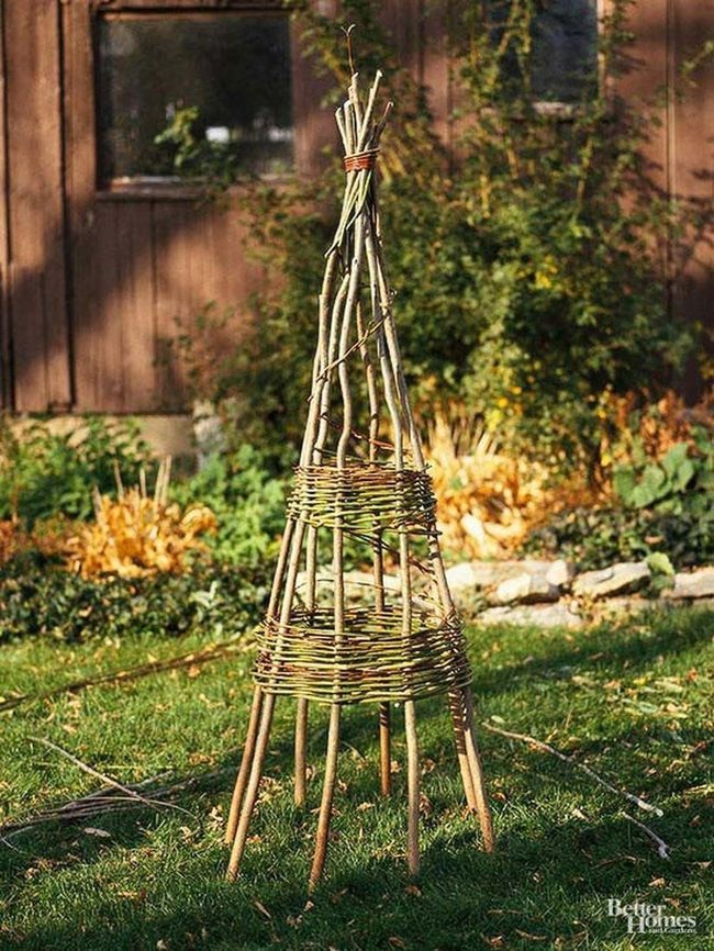 Willow Pyramid Trellis