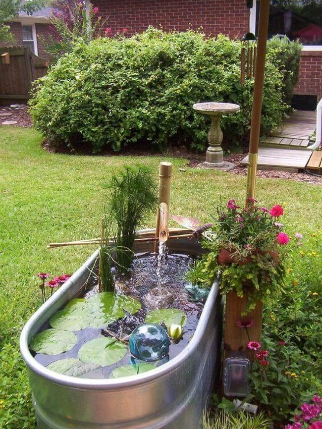 Flowing Water, Lush Garden, Glowing Accents