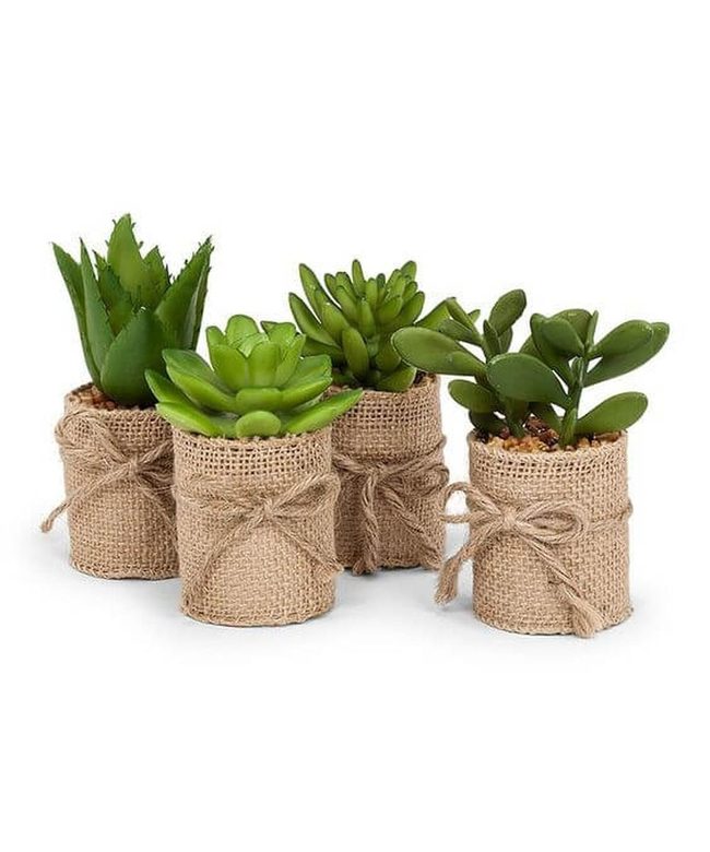 Jute-Wrapped Succulents Green Statement