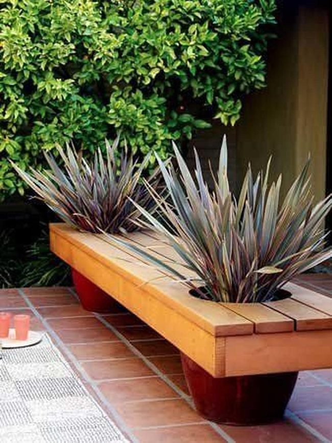 Wooden Bench Blooming Garden