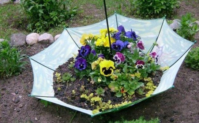 Purple And Yellow Umbrella Planter