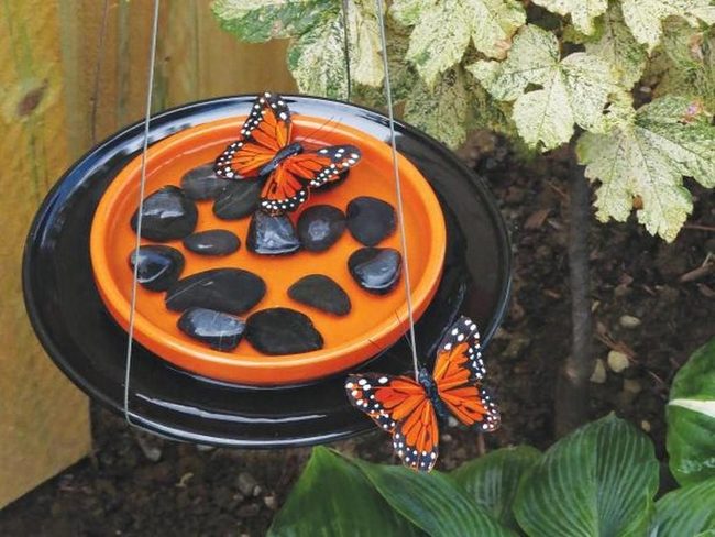 Orange Plates, Black Butterflies