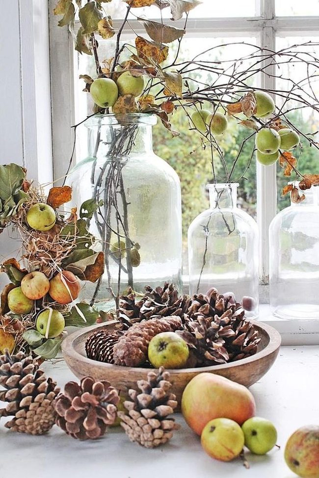 Clear Glass Nature Vessels