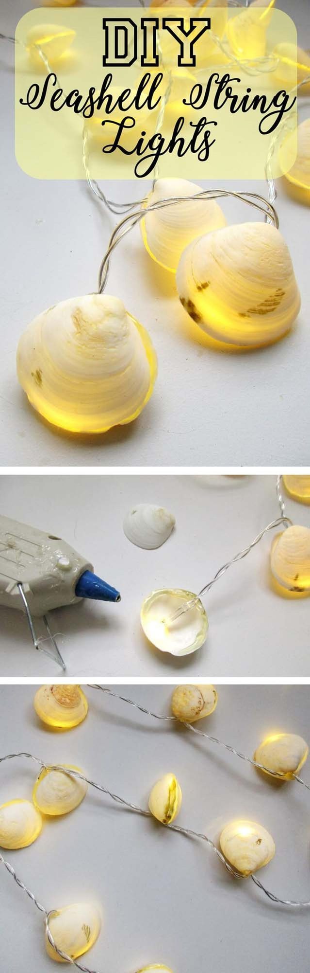 Coastal Shells Glowing Overhead