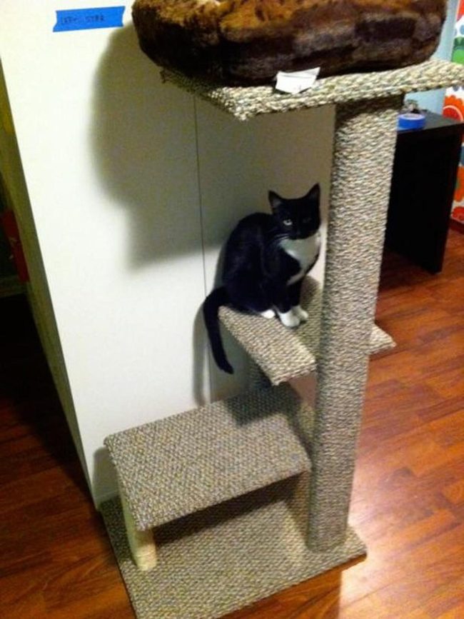 Brown Rope Cat Tower