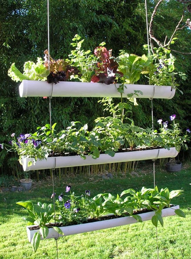 Hanging Purple Blooms White Pipes